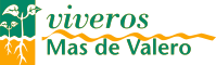 Mas de Valero